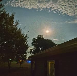 Meet your Posher, Suzanne